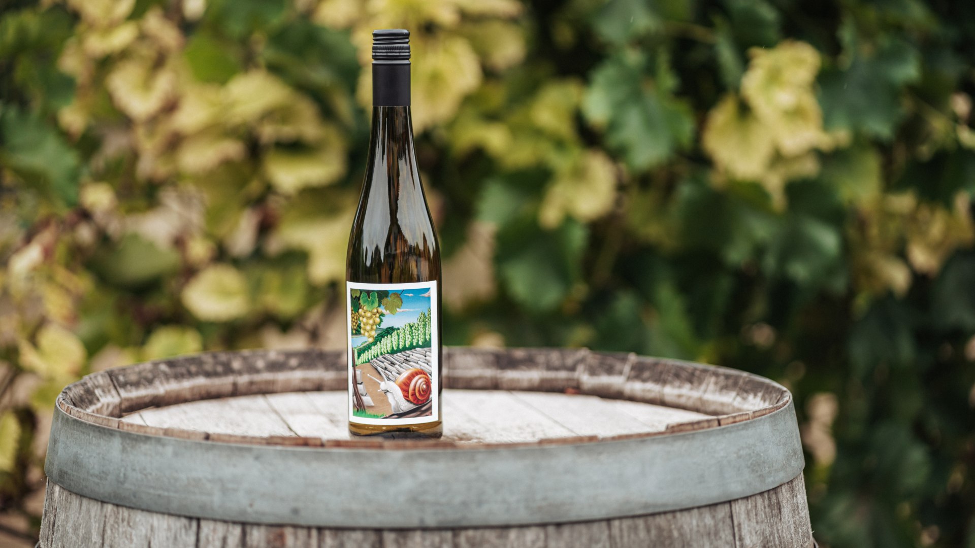 Welterbe-Wein 2025 Flasche quer | © Felix Vollmer Welterbe-Wein 2025 Flasche quer | © Felix Vollmer