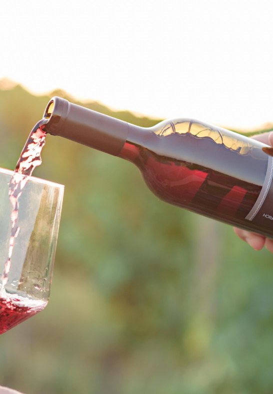 Weingut Eser alles neu-35 | © Weingut Eser