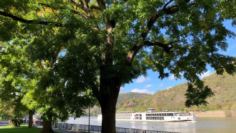 Rheinallee | &copy; Tourist Information Boppard