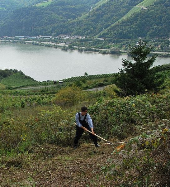 Landschaftspflege | © ZV Welterbe Landschaftspflege | © ZV Welterbe