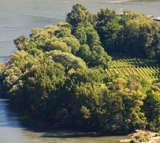 Insel Heylesen Werth | &copy; Weingut Bastian