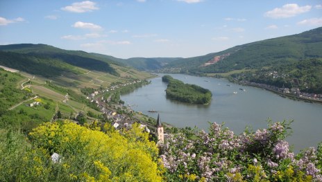 Lorch  | &copy; Stadt Lorch