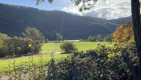 Moselchalet Koblenz Ausblick Herbst | &copy; Stefanie K&auml;fer