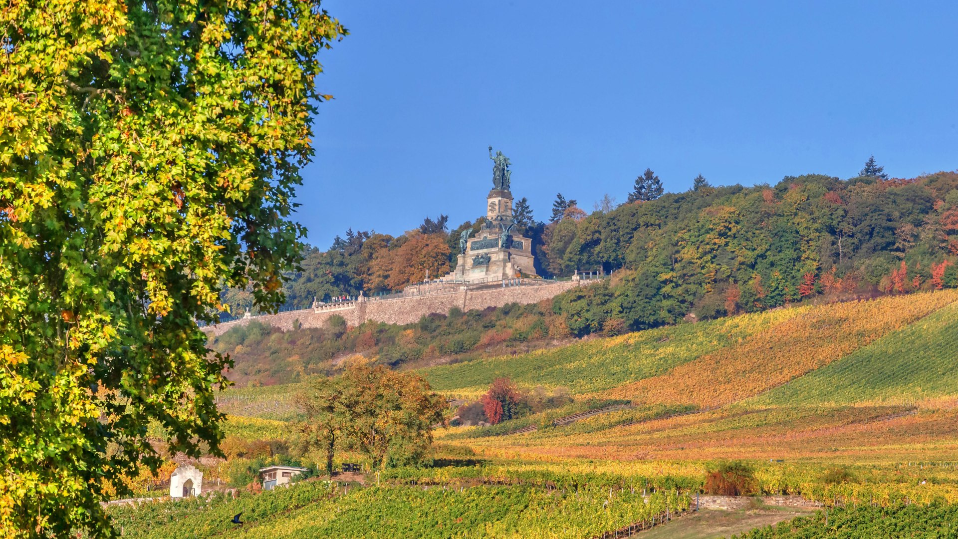 Germania | &copy; Marlis Steinmetz