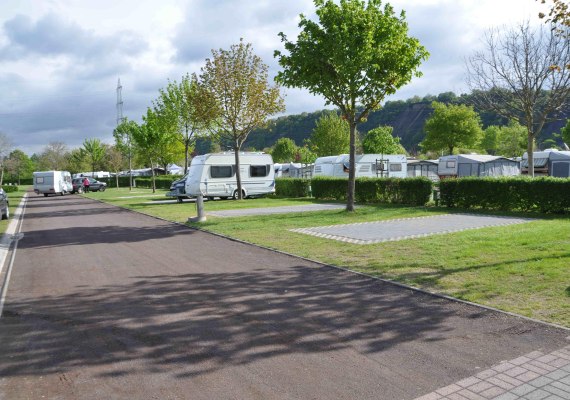 Platz-Ambiente | &copy; Campingplatz G&uuml;lser Moselbogen