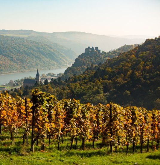 Blick &uuml;ber Oberwesel | &copy; Henry Tornow