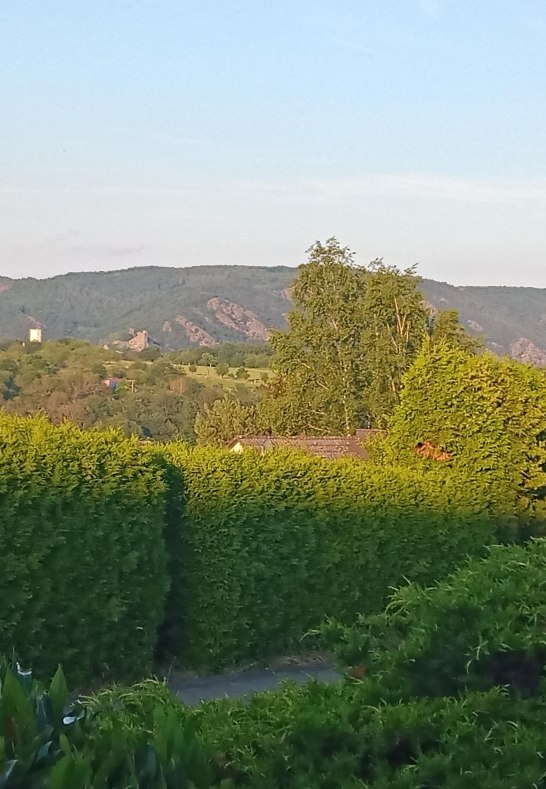 Aussicht | &copy; Fam. B&uuml;hler