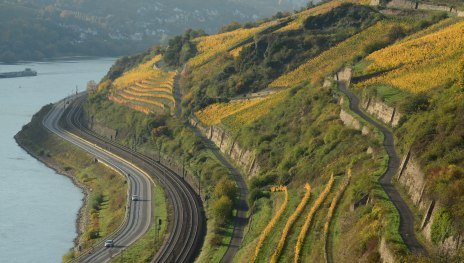 Steillagen-Netzwerk Steillagen-Netzwerk