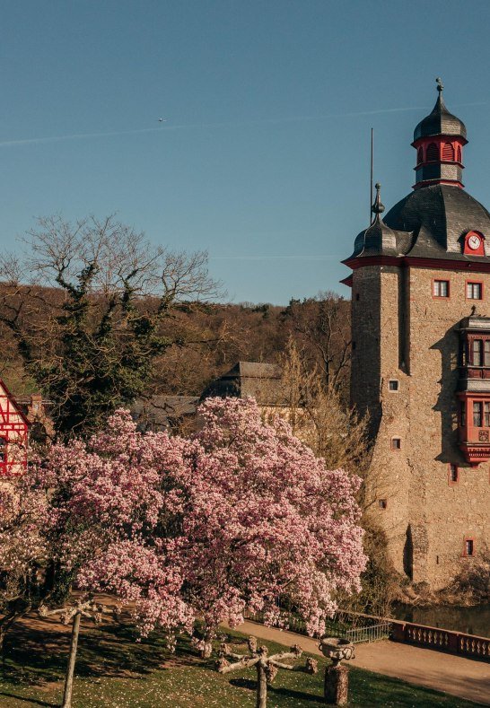 Schloss Vollrads Schlossturm | © Schloss Vollrads