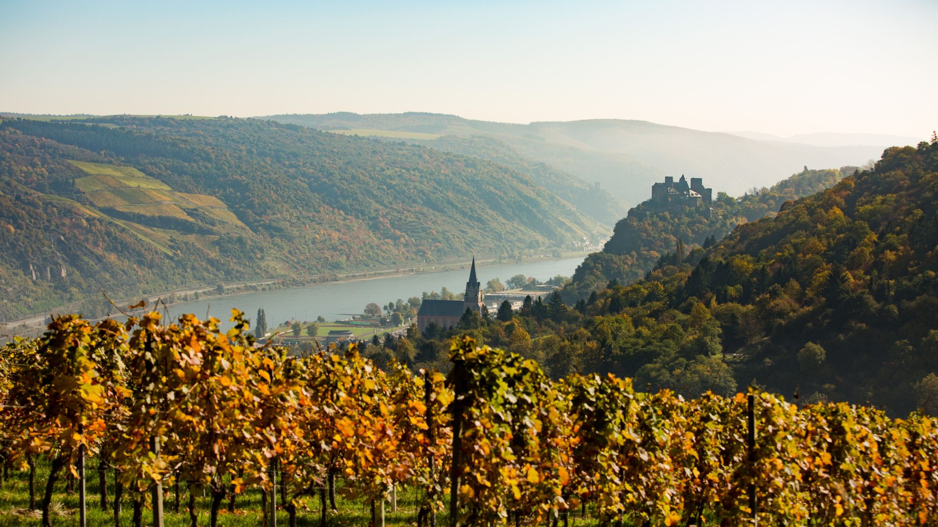 Blick über Oberwesel | © Henry Tornow Blick über Oberwesel | © Henry Tornow