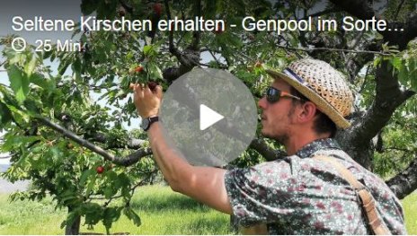 Mr Cherry Nico Melchior | &copy; SWR