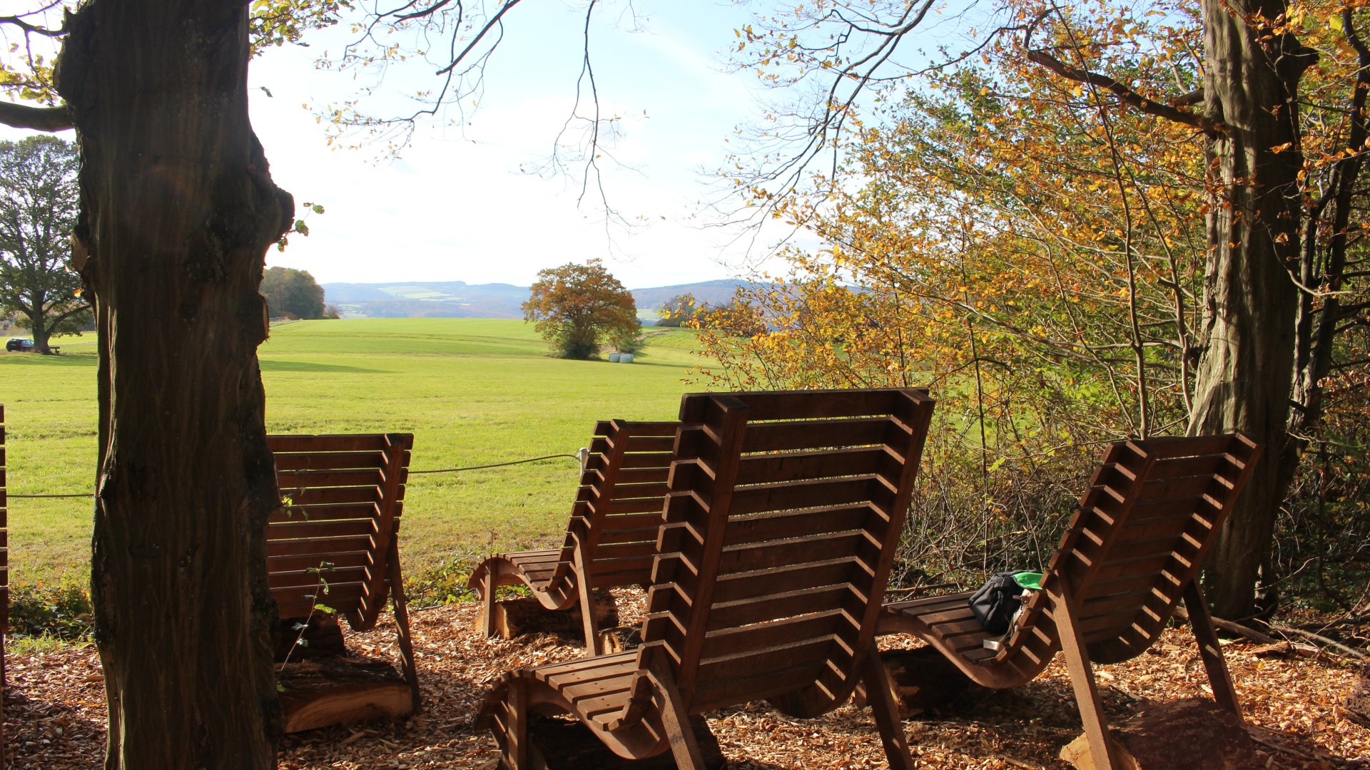 Kur- und Heilwald Lahnstein | &copy; Stadt Lahnstein