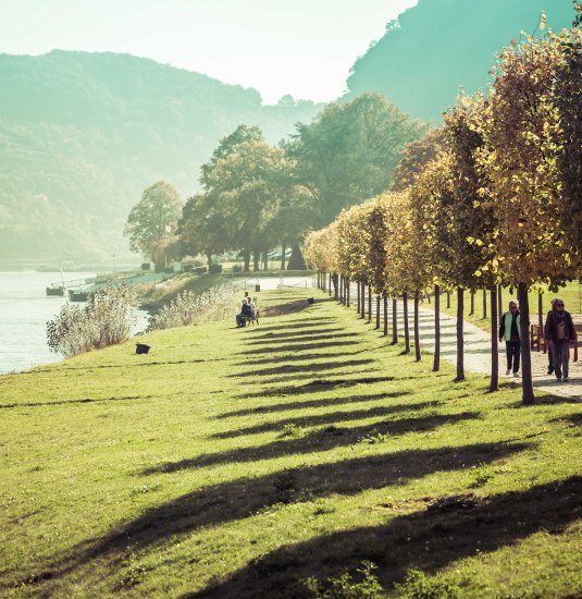 Rheinufer | &copy; P!EL