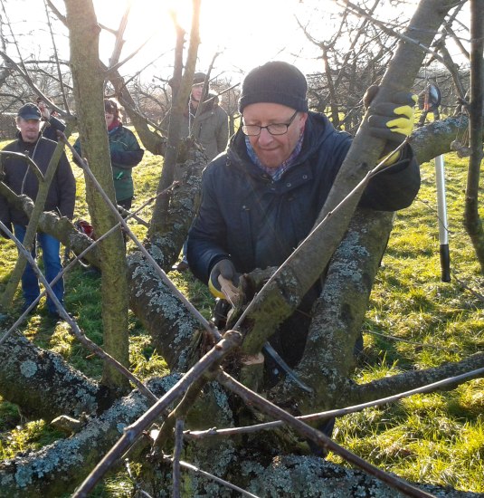 Schnittseminar | &copy; ZV Welterbe